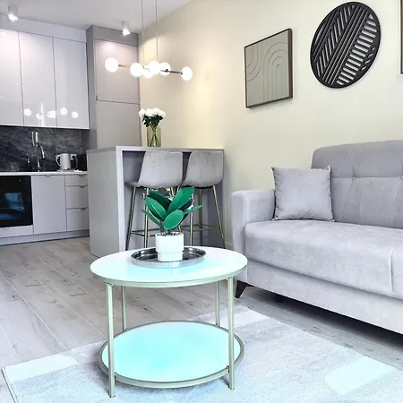 Apartment White Glove Vidok