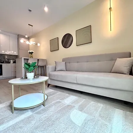 White Glove Vidok Apartment *