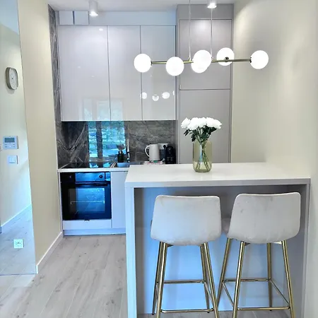 Apartment White Glove Vidok