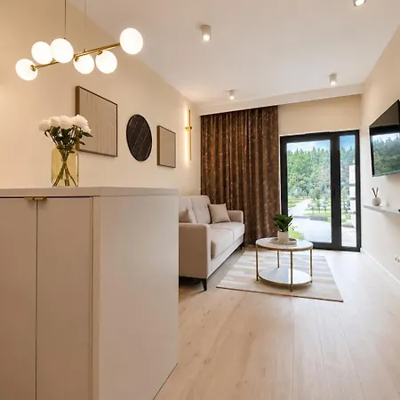 Apartment White Glove Vidok